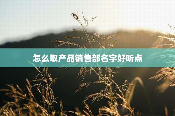 怎么取产品销售部名字好听点