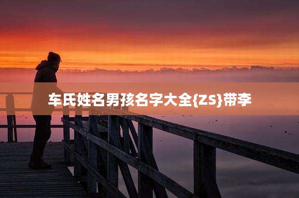 车氏姓名男孩名字大全{ZS}带李