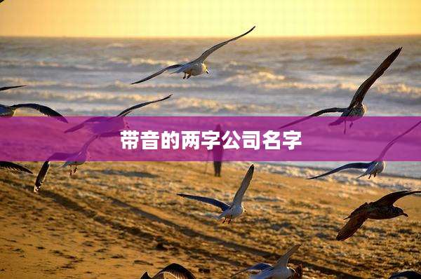 带音的两字公司名字
