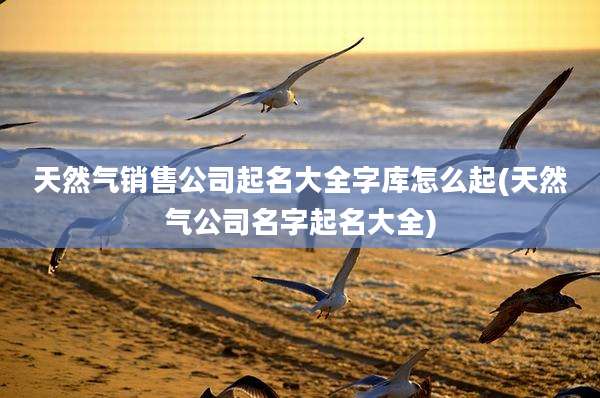 天然气销售公司起名大全字库怎么起(天然气公司名字起名大全)