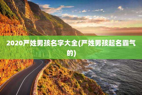 2020严姓男孩名字大全(严姓男孩起名霸气的)