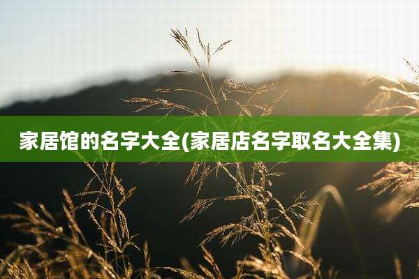 家居馆的名字大全(家居店名字取名大全集)
