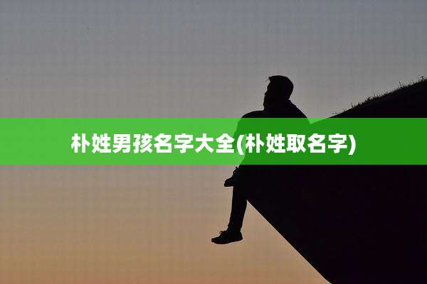 朴姓男孩名字大全(朴姓取名字)