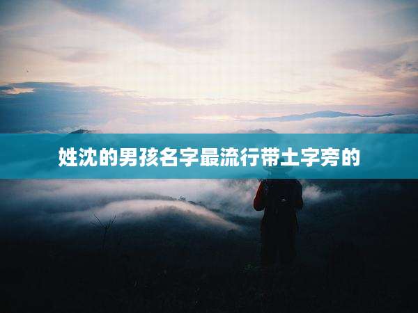 姓沈的男孩名字最流行带土字旁的