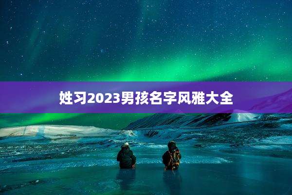 姓习2023男孩名字风雅大全