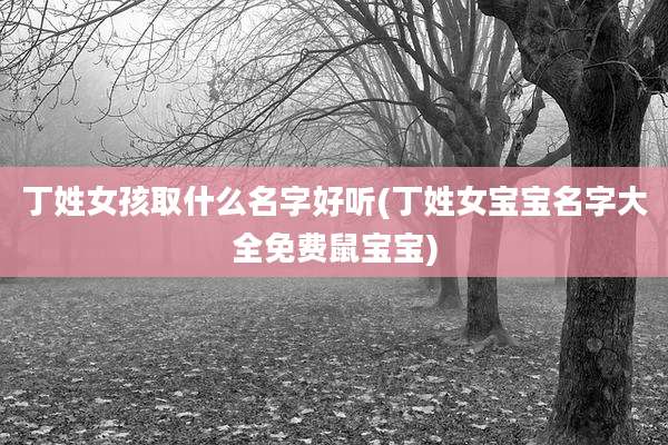 丁姓女孩取什么名字好听(丁姓女宝宝名字大全免费鼠宝宝)