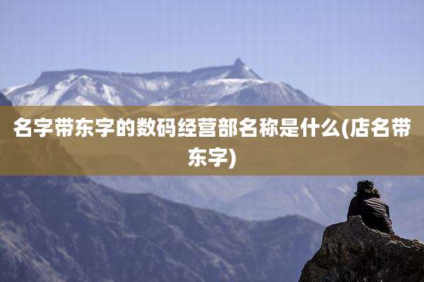 名字带东字的数码经营部名称是什么(店名带东字)