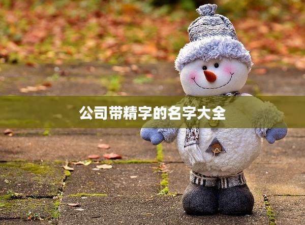 公司带精字的名字大全