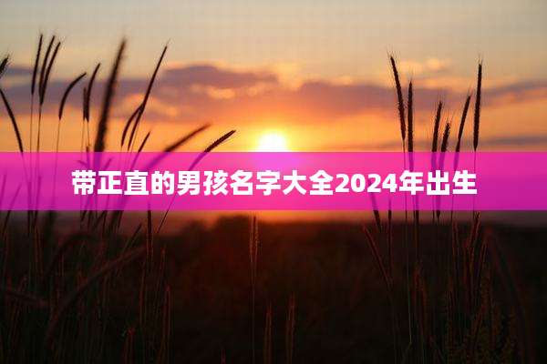 带正直的男孩名字大全2024年出生