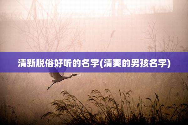 清新脱俗好听的名字(清爽的男孩名字)