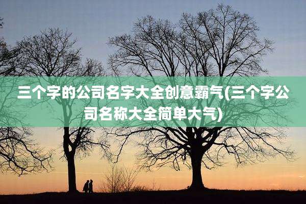 三个字的公司名字大全创意霸气(三个字公司名称大全简单大气)