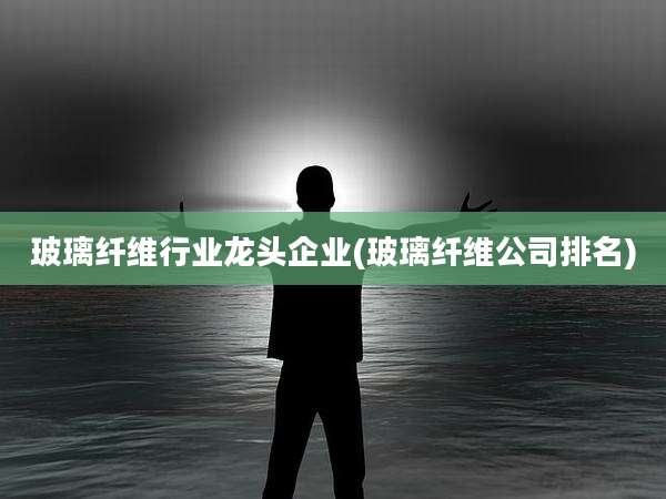 玻璃纤维行业龙头企业(玻璃纤维公司排名)