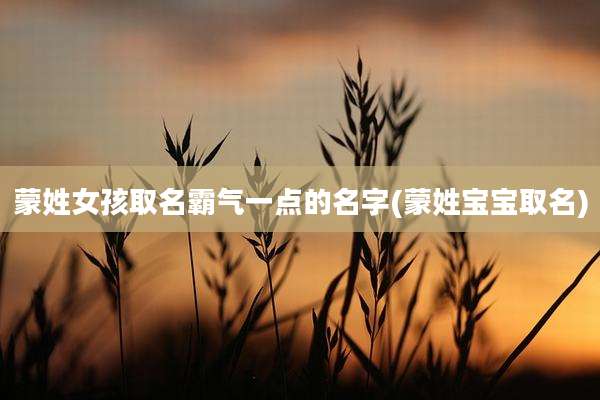 蒙姓女孩取名霸气一点的名字(蒙姓宝宝取名)