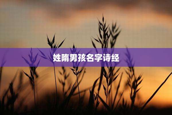 姓隋男孩名字诗经