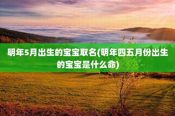 明年5月出生的宝宝取名(明年四五月份出生的宝宝是什么命)