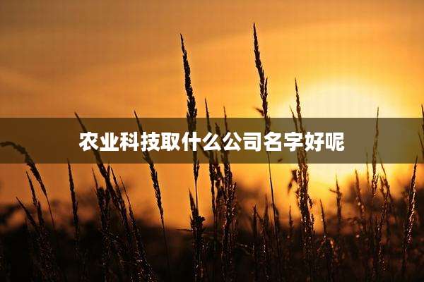 农业科技取什么公司名字好呢