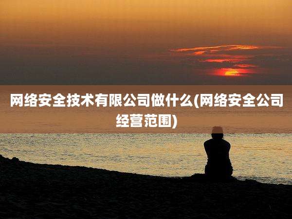 网络安全技术有限公司做什么(网络安全公司经营范围)