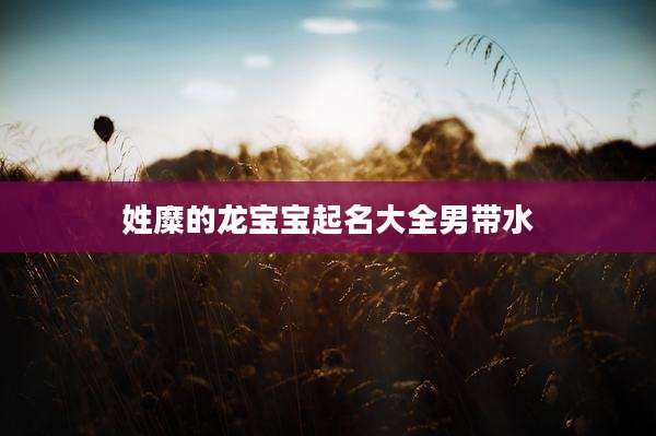姓糜的龙宝宝起名大全男带水