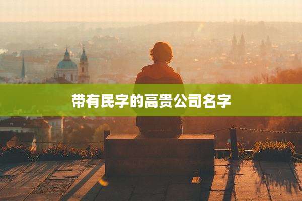 带有民字的高贵公司名字