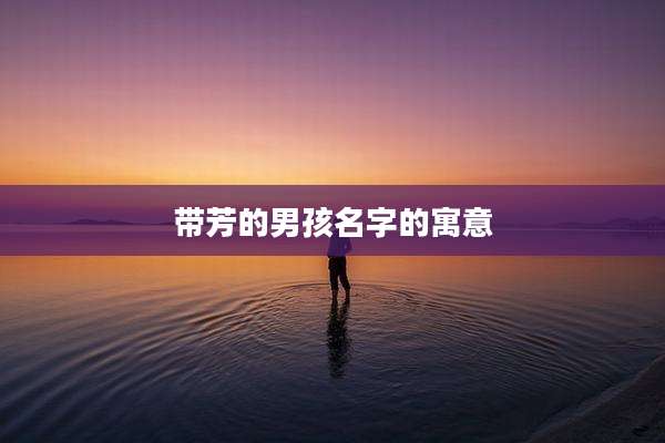 带芳的男孩名字的寓意