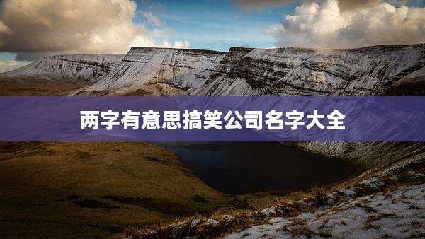 两字有意思搞笑公司名字大全