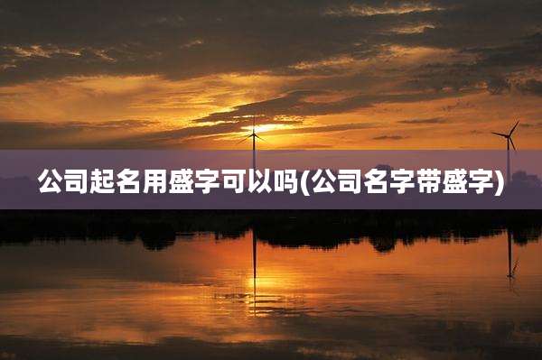 公司起名用盛字可以吗(公司名字带盛字)