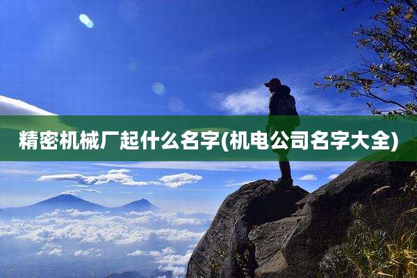 精密机械厂起什么名字(机电公司名字大全)