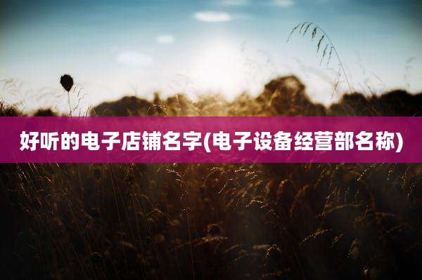 好听的电子店铺名字(电子设备经营部名称)