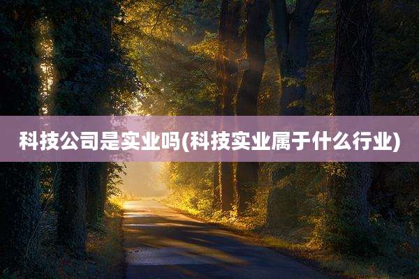 科技公司是实业吗(科技实业属于什么行业)