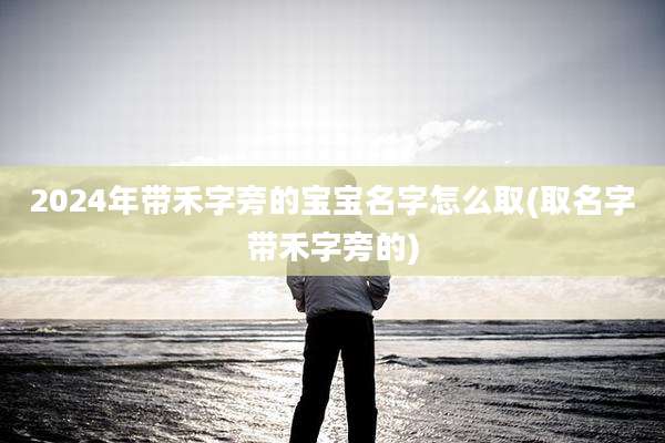 2024年带禾字旁的宝宝名字怎么取(取名字带禾字旁的)