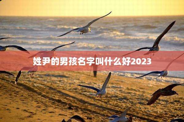 姓尹的男孩名字叫什么好2023