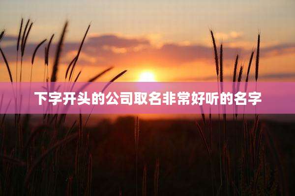 下字开头的公司取名非常好听的名字