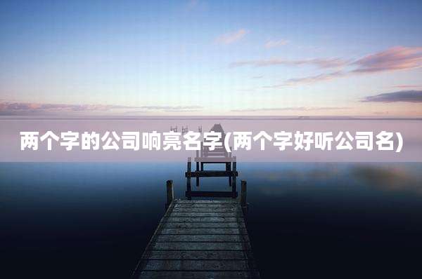 两个字的公司响亮名字(两个字好听公司名)