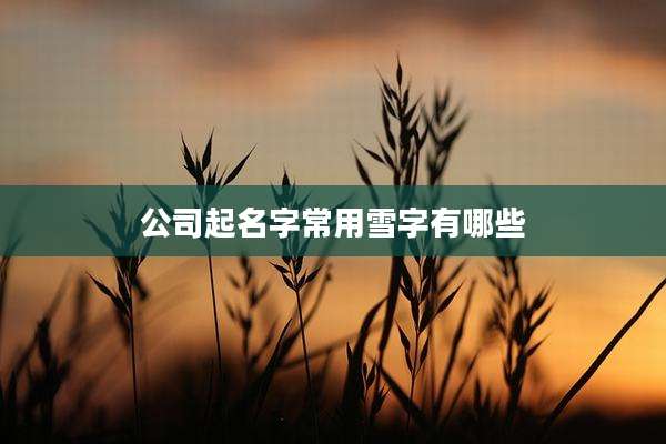 公司起名字常用雪字有哪些