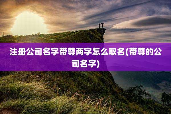 注册公司名字带尊两字怎么取名(带尊的公司名字)