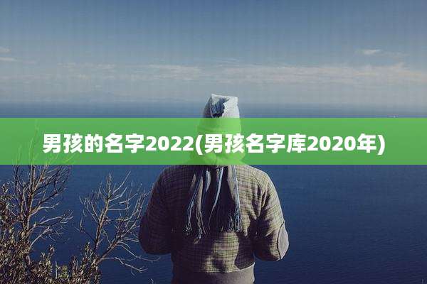 男孩的名字2022(男孩名字库2020年)