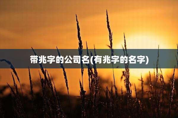 带兆字的公司名(有兆字的名字)