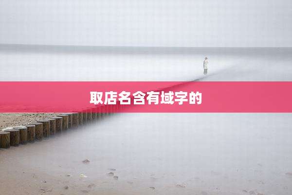取店名含有域字的