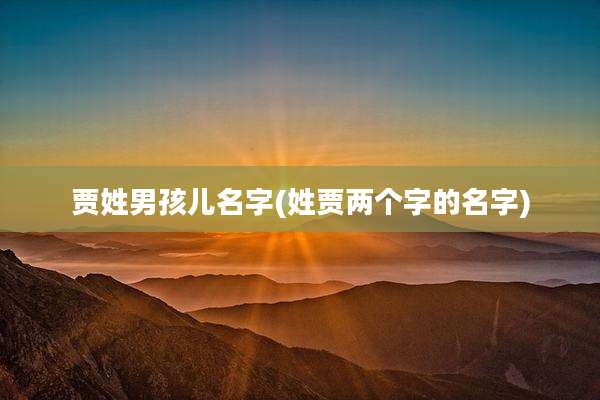 贾姓男孩儿名字(姓贾两个字的名字)