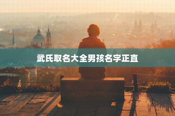武氏取名大全男孩名字正直