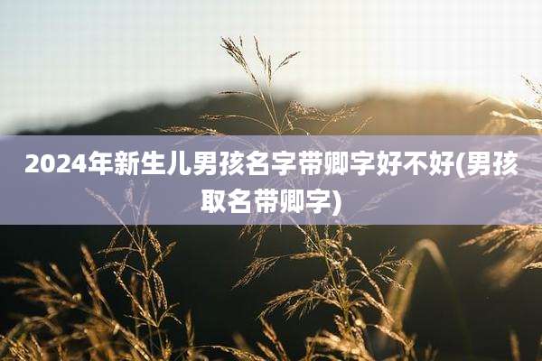 2024年新生儿男孩名字带卿字好不好(男孩取名带卿字)