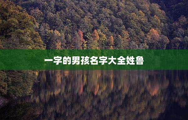 一字的男孩名字大全姓鲁