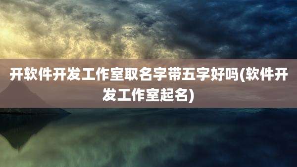 开软件开发工作室取名字带五字好吗(软件开发工作室起名)