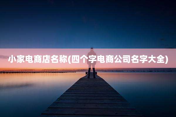 小家电商店名称(四个字电商公司名字大全)