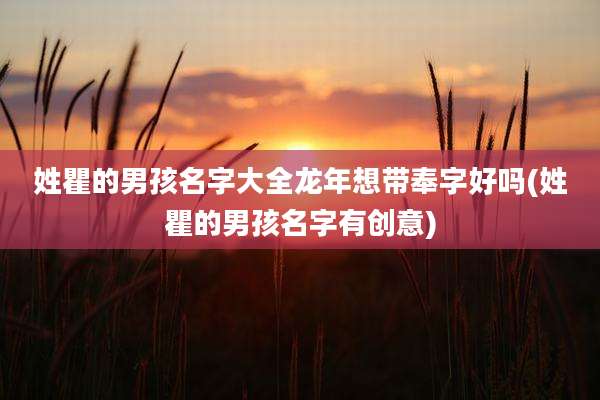 姓瞿的男孩名字大全龙年想带奉字好吗(姓瞿的男孩名字有创意)