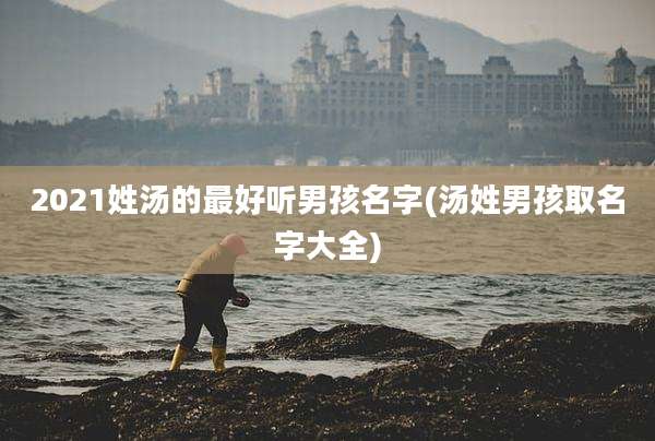 2021姓汤的最好听男孩名字(汤姓男孩取名字大全)