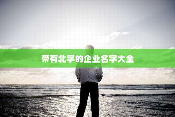 带有北字的企业名字大全