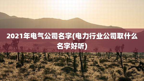 2021年电气公司名字(电力行业公司取什么名字好听)