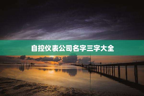 自控仪表公司名字三字大全
