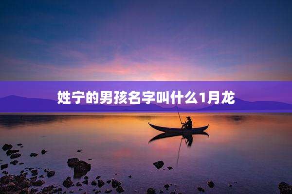 姓宁的男孩名字叫什么1月龙